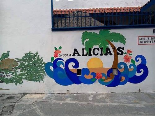Alicia'S Bed & Breakfast Cozumel Exteriér fotografie