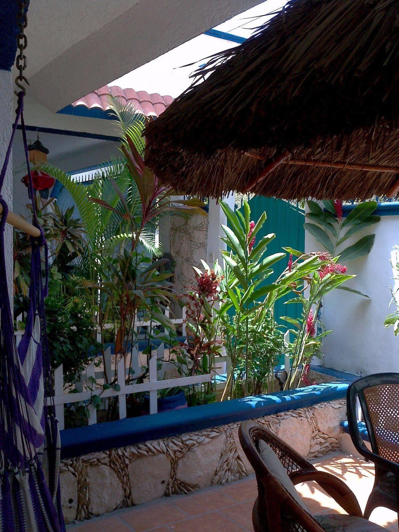 Alicia'S Bed & Breakfast Cozumel Exteriér fotografie