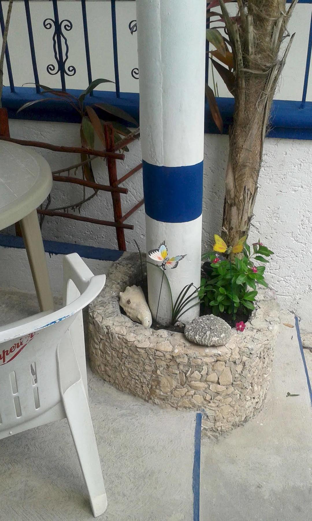 Alicia'S Bed & Breakfast Cozumel Exteriér fotografie